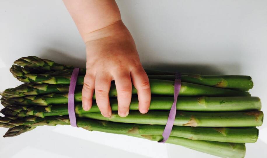 A toddler's hand holding a bunch of asparagus.