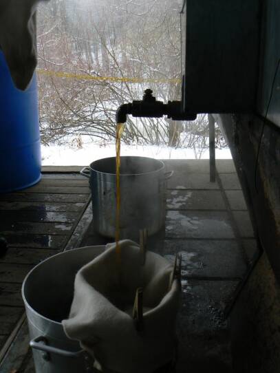 Filtering the syrup through wet wool before bottling.