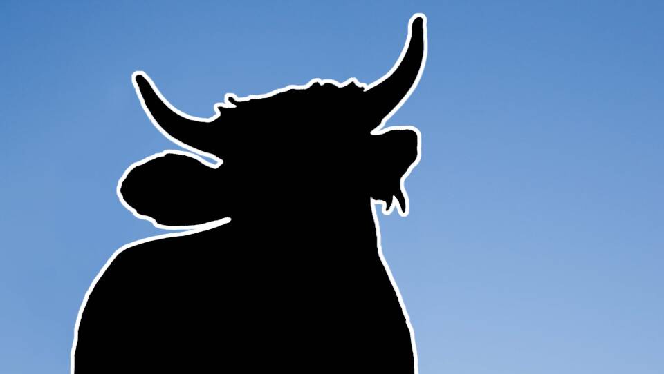 A black silhouette of a horned cow in front of a blue sky.