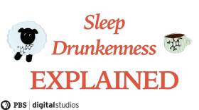Sleep Drunkenness Explained