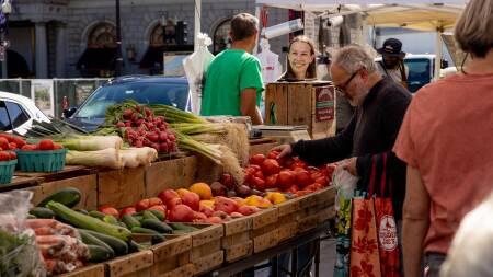 A person picks up a tomato from one carton amid a selection of vegetables while vendors chat in the background.