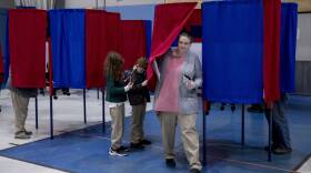 New Hampshire Voters