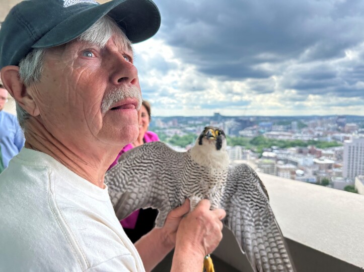 A man wearing a baseball cap is stands with a falcon, wings open, in his hands. The Boston skyline is visible behind them.