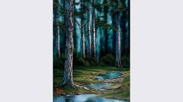 Secluded Forest