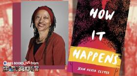2025 Detroit Festival of Books Interview - Jean Alicia Elster
