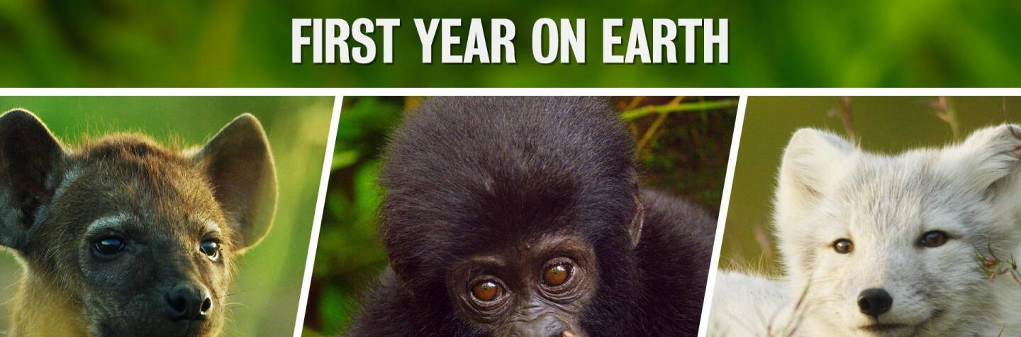 Animal Babies: First Year on Earth