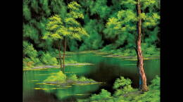Emerald Waters