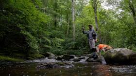 A fly fisher stands on the rocky bank of a small stream in the middle of a forest as his dog sniffs around the rocks by his feet.
