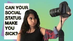 Is Your Social Status Making You Sick?