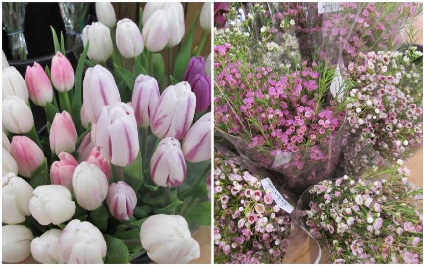 Colorful flowers priced at $3.99 per bunch.