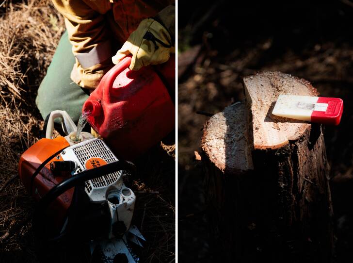 Members of the National Guard's Task Force Rattlesnake use chainsaws, axes, and chippers to remove deadwood that could fuel a fire.