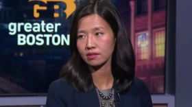 A woman in a blazer speaks on a TV show with the Greater Boston logo in the background