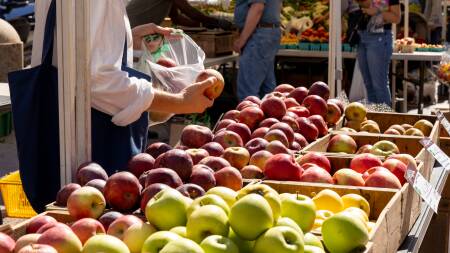 A person picks up an apple from one of several cartons.