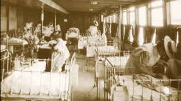 hospital_web.jpg