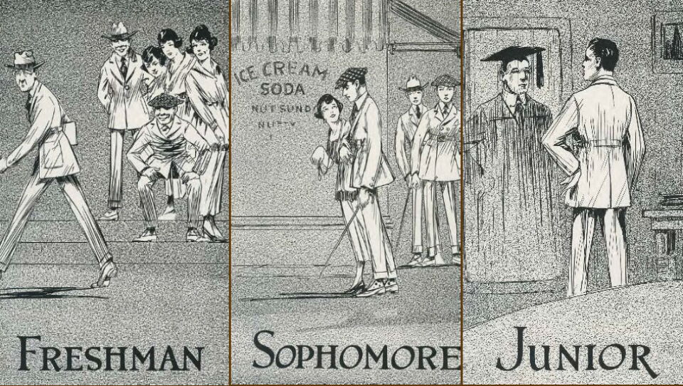 What Exactly Is A Sophomore? And What Does It Mean To Be A Junior And ...