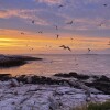 Gulf of Maine.jpg