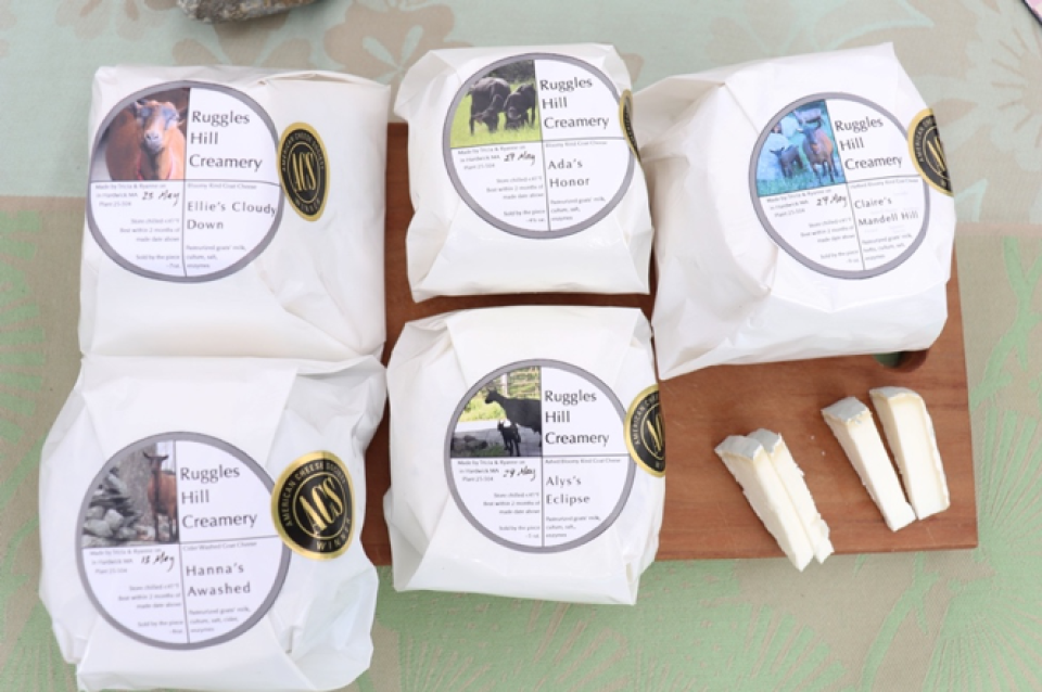 A variety of cheese from Ruggles Hill Creamery at a farmers market at Harvard University