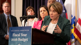 The governor speaks out over a podium.