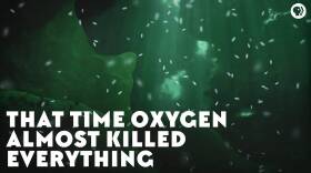 That Time Oxygen Almost Killed Everything