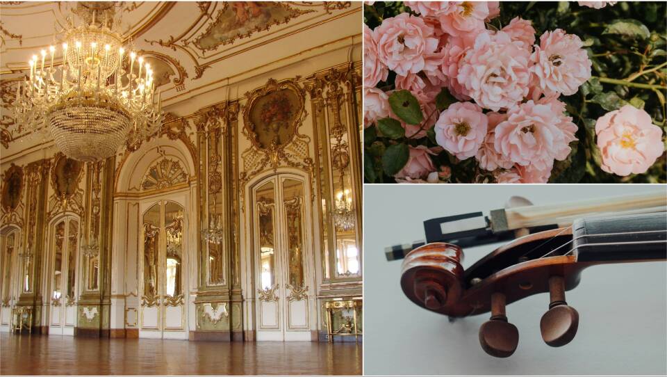 Gilded ballrooms, pastel flowers, and passionate strings—the Bridgerton essentials!