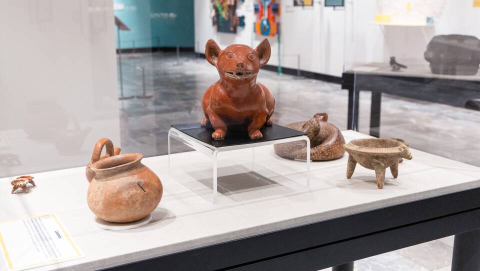 A display of some of the pre-Columbian antiquities, which comprise the "Repatriation and Its Impact" exhibit at The Parthenon museum in Nashville. The artifacts will be returned to Mexico, when the exhibit concludes.