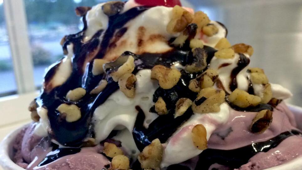 Hornstra Dairy Farm ice cream with cream chocolate sauce and nuts.