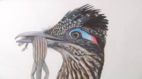 David Allen Sibley, Playwright Michael Lew, and more