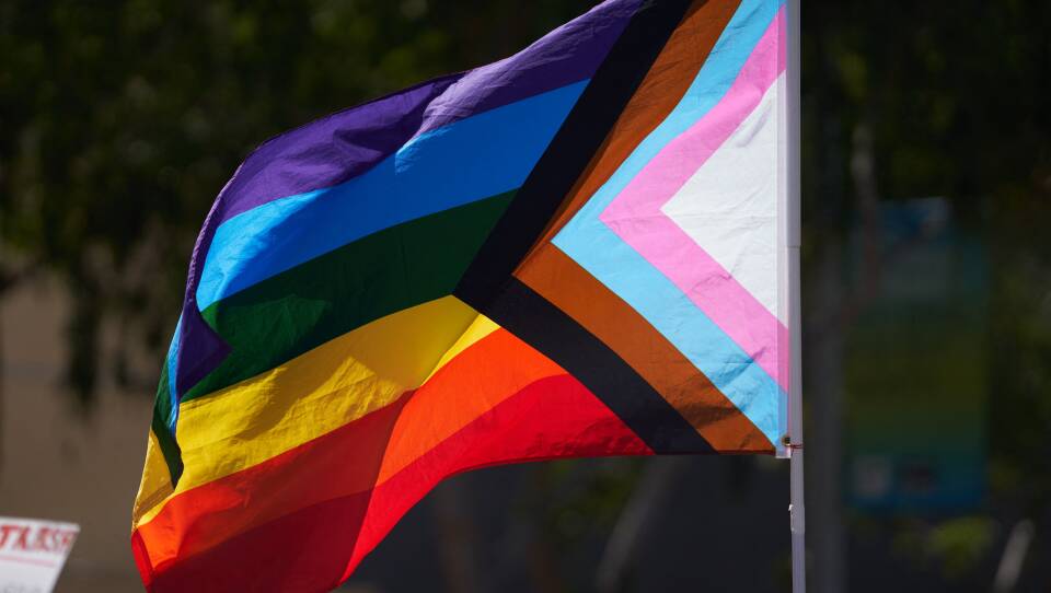 A Pride flag blows in the wind. Trees are behind it in the background.