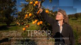 Terroir