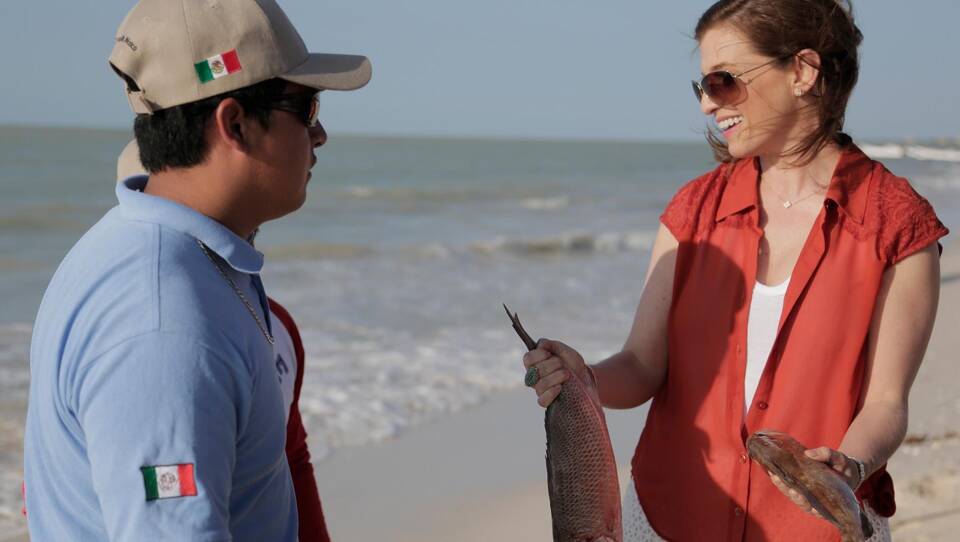 Celestun: Coastal Cooking