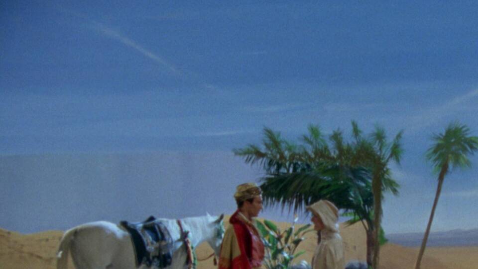 The Case of the Missing Lady