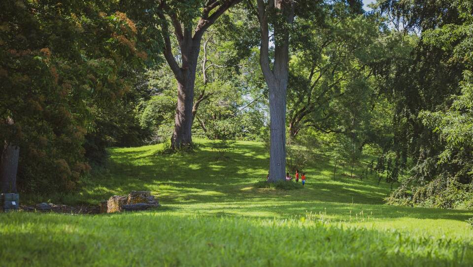 Arnold_Arboretum.jpeg