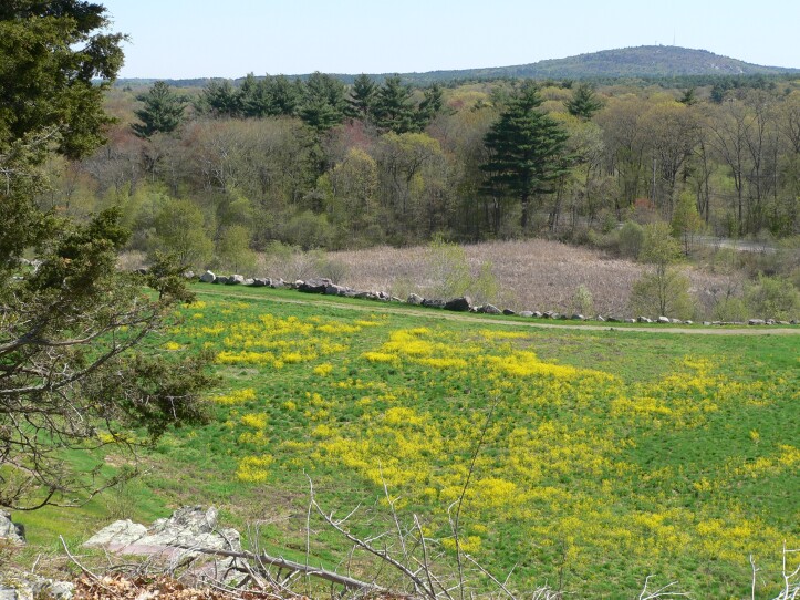 View of Great Blue Hill from Signal Hill, Canton, Massachusetts