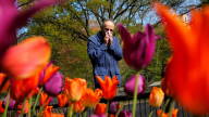 Why allergy season is extra bad this year