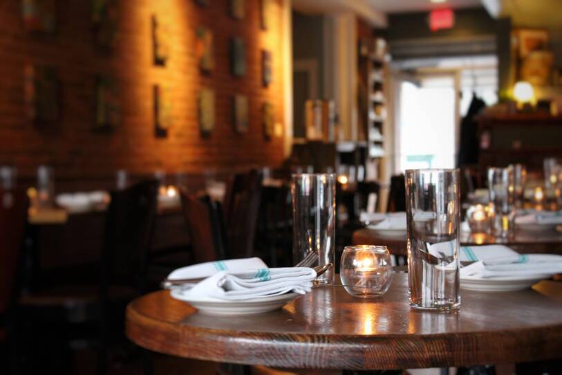 Brassica in Jamaica Plain