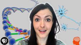 4 Lesser-Known Scientific Discoveries!