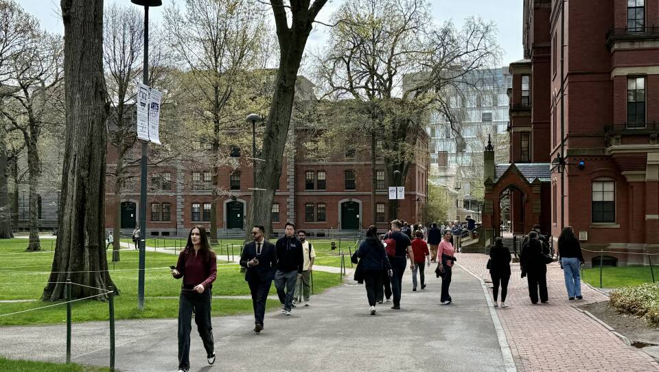 People walk along a quad on a spring day.