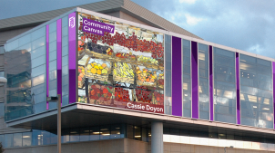 Community Canvas; Cassie Doyon