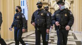 Capitol Breach The Latest
