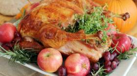 Thanksgiving Turkey