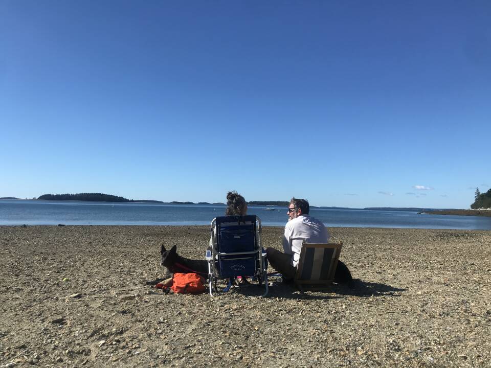 Two adults sit on folding chairs on a beach looking out over the water. They also have a dog.