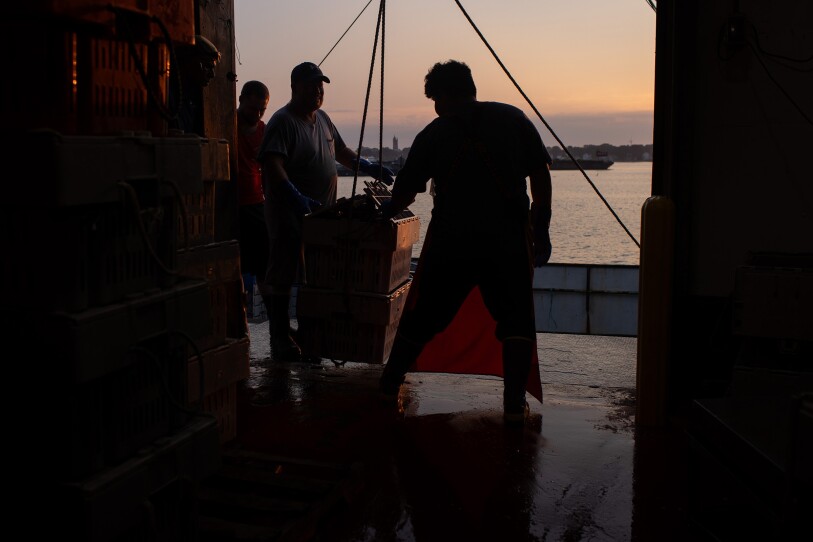 Fishermen on a dock lifting several objects at dawn