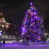 A large Christmas tree stands in the center of a snowy city park, the lights and dome of a large government building visible in the background.