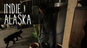 I Inherited a Sled Dog Team