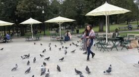 Boston Common