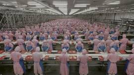 Now streaming: The Invisible Shield